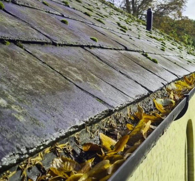 entretien de gouttières